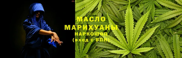 дмт Инта