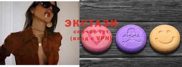 дмт Инта