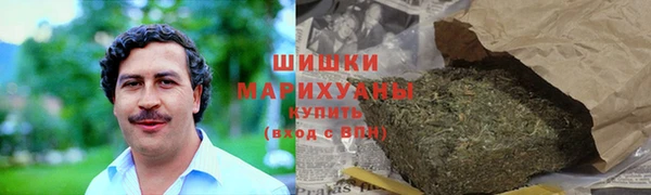 дмт Инта