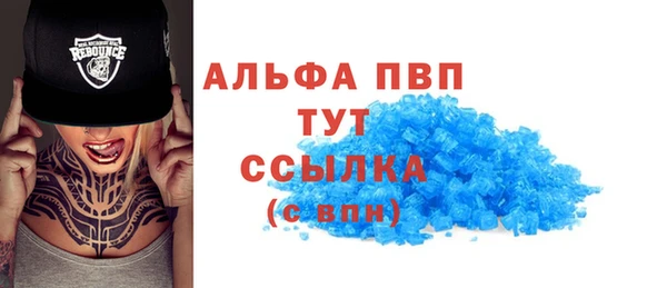 дмт Инта