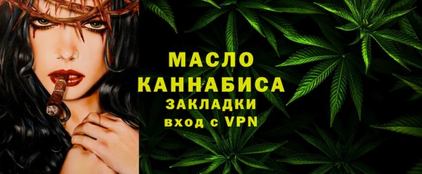 дмт Инта