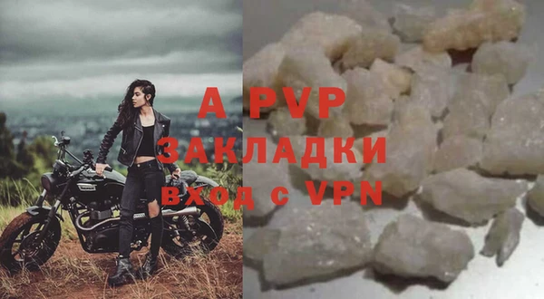 дмт Инта