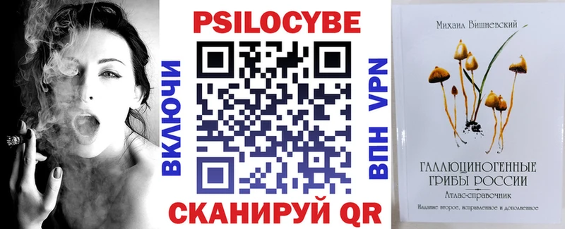 Галлюциногенные грибы мицелий  Купить где  Гатчина 